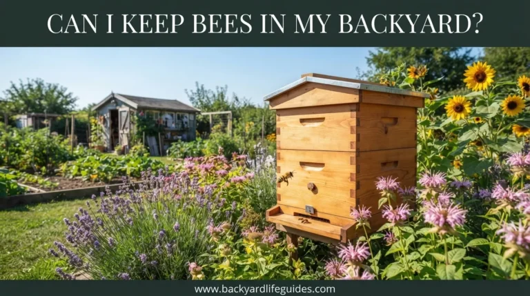 can i keep bees in my backyard