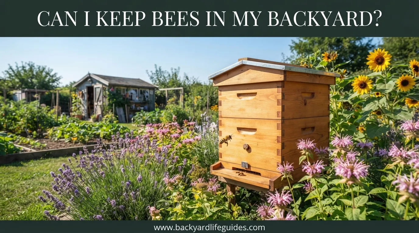 can i keep bees in my backyard