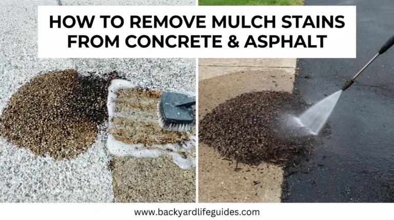 how to remove mulch stains from concrete & asphalt
